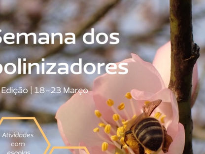 3ª Edição da "Semana dos Polinizadores"