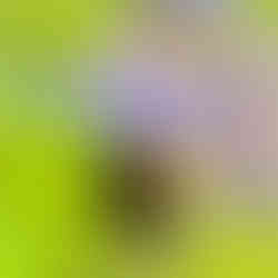 Fotografia: João Loureiro