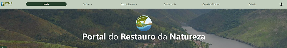 Captura de Ecrã (306).png