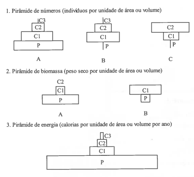 Fig. 9. Representação de pirâmides tróficas. 1.A. Quando os produtores são em elevado número. 1.B. Quando os produtores são poucos. 1.C. Cadeia de parasitas. 2.A. Quando uma grande biomassa de produtores suporta uma biomassa pequena de consumidores. 2.B. Quando uma pequena biomassa de produtores suporta uma biomassa grande de consumidores. 3. Pirâmide de energia.