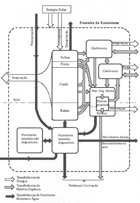 Fig. 12. Ecossistema terrestre, segundo Moore & Chapman (1986).
