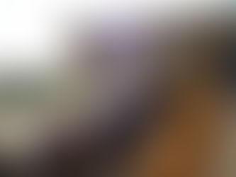Concurso Para Selecção De Observatórios De Investigação Ecológica