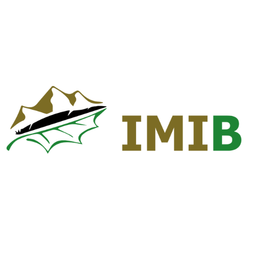 04_IMIB