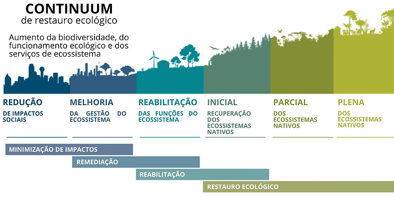 ResECO Figura.jpg
