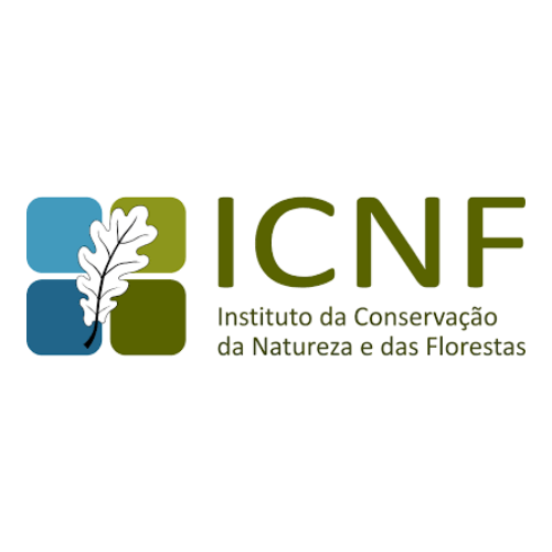 05b_ICNF