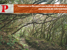 "Conservar a floresta Laurissilva da Madeira: um imperativo de sobrevivência", por Helena Freitas