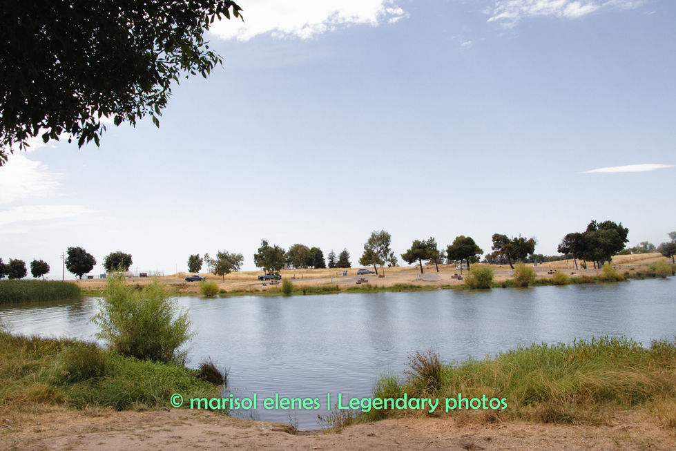 postc (25 of 26).jpg