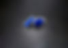nuevos web.JPG