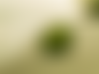 Le stress: ses mécanismes, ses effets sur l'organisme, comment l'apaiser