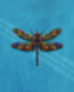 A rainbow dragonfly on a blue background