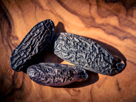 Tonkabohnen Essenz ist besonders wertvoll und im Nabelöl von Daisy´s Yoga Garden zu finden