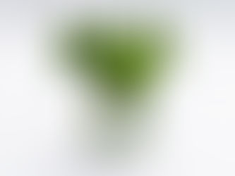 Es rentiert sich ein blick auf die Themen Vitalenergie, Zirbeldrüse und die Rolle der Zahnpflege zu werfen