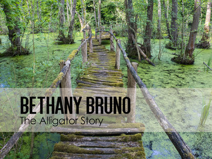 The Alligator Story