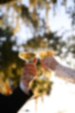 Wedding or Bridal Shower celebration Toast