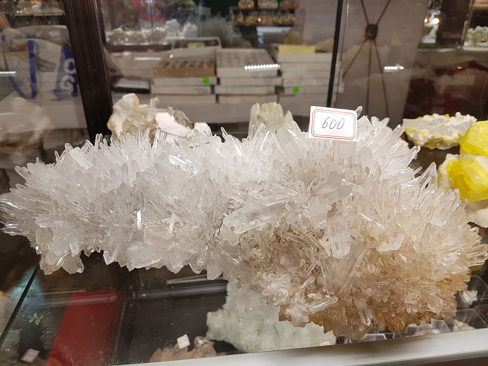 Torino Euromineral Expo 2017