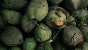 Food and Frequency - Lebensmittel und deren Schwingung