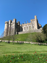 arundle-castle-cosy-cabin-saty