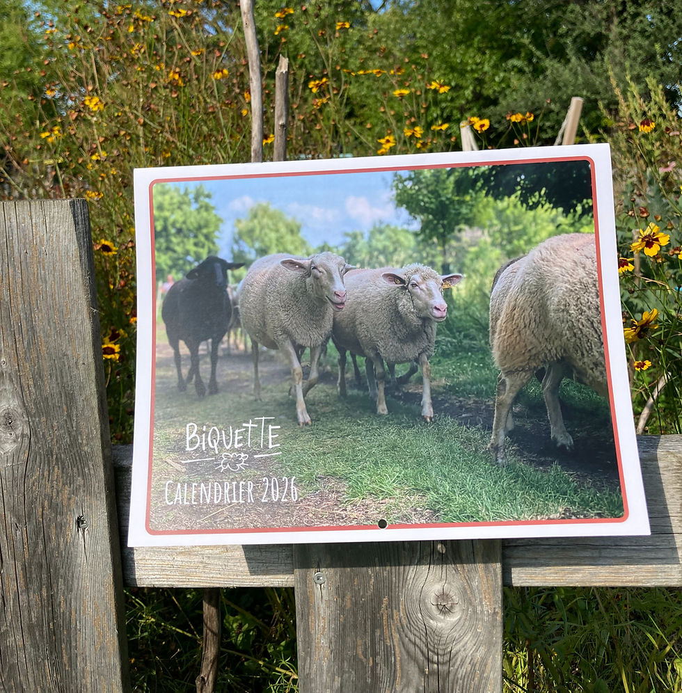 Calendrier Biquette 2026
