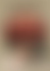 Forum sur les violences conjugales, le 5 février 2016