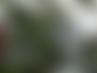 We renovate this apartment to find a buyer in Miami