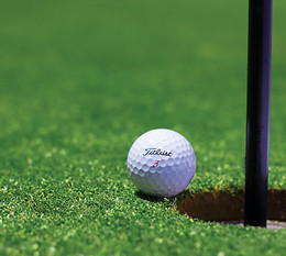 golf sign.jpg