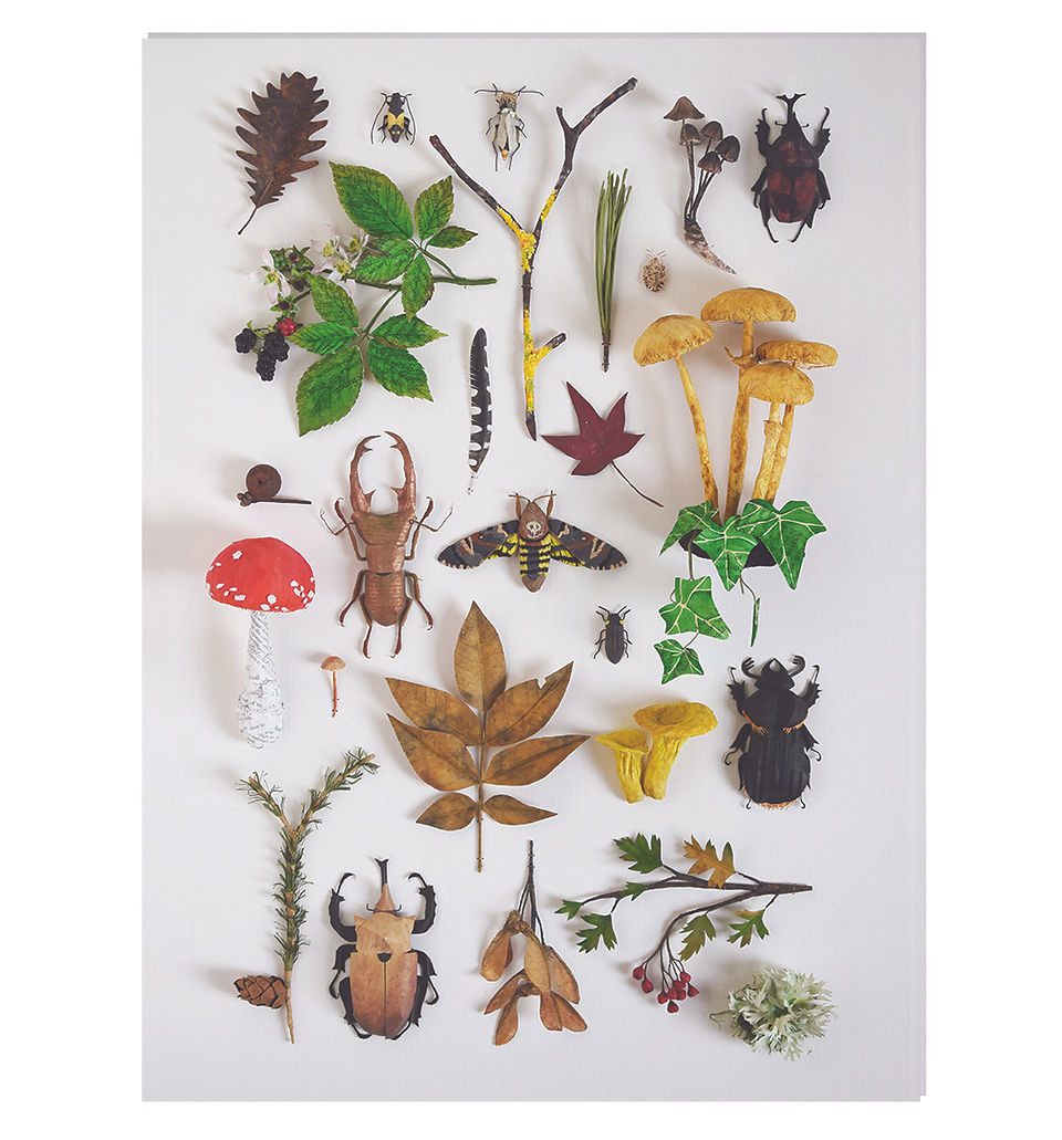 a collection of paper sculptures called nature studies 2