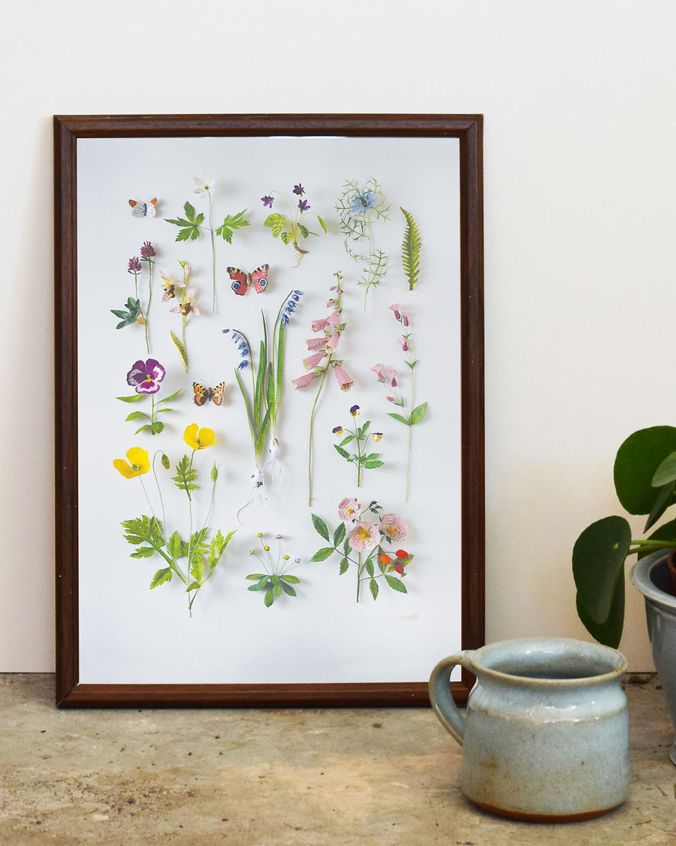 Thumbnail: A4 PRINTS