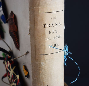 a close up of the spine of a book from the entomology society which is covered in insects. You can see a pair of blue antenna curling around the book from behind.