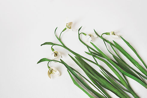 paper-flower-snowdrops-1.jpg