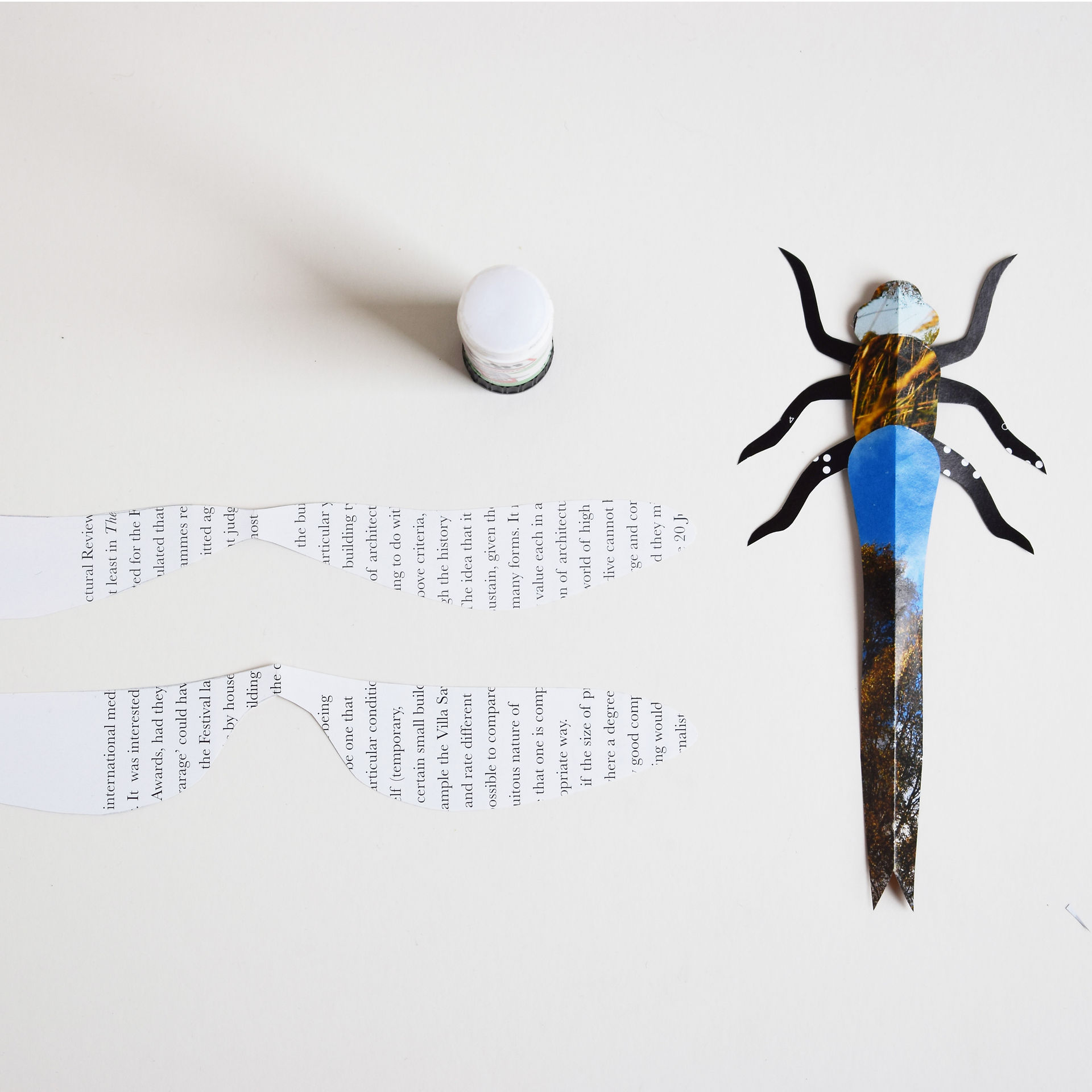 gluing the different sections of a paper insect dragonfly together