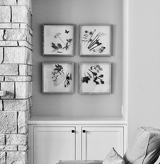 four frames hung in a square format in an alcove of a living room. Each frame has a collection of paper flowers and insects, with each frame representing a different season of the year. The image is in black and white.
