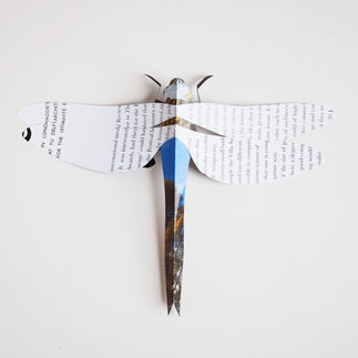 gluing the different sections of a paper insect dragonfly together