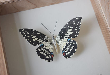 lime-swallow-tail-paper-butterfly-3.jpg