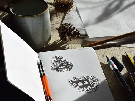 Creative Practice: Four Ways Winter Helped Me Slow Down and See More
