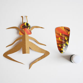 gluing the different sections of a paper insect grasshopper together