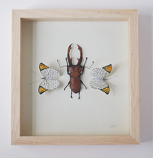 a paper stag beetle and teo orange tip butterflies, mounted in a pale wood frame. The frame sits on a white background.