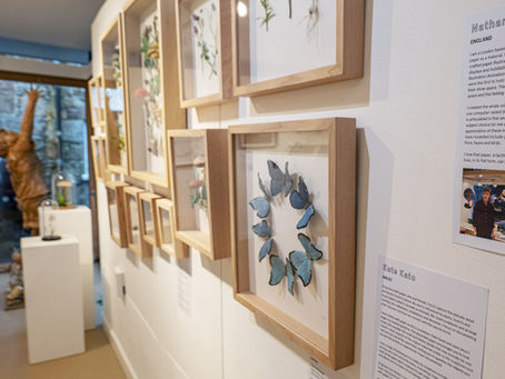 PULP: An exhibition of Paper Artist