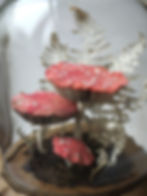 a collection of fly agaric mushrooms made from recycled paper and fabric.