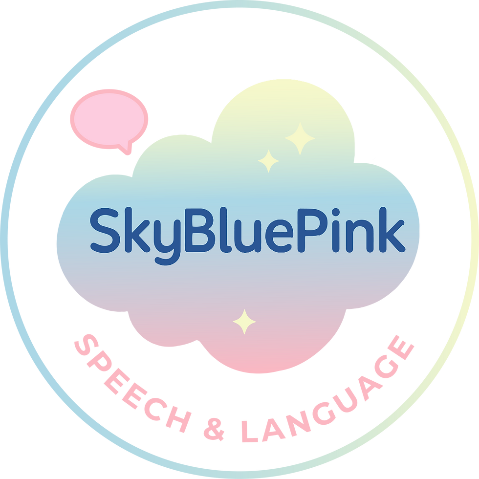 SkyBluePink Footer Logo