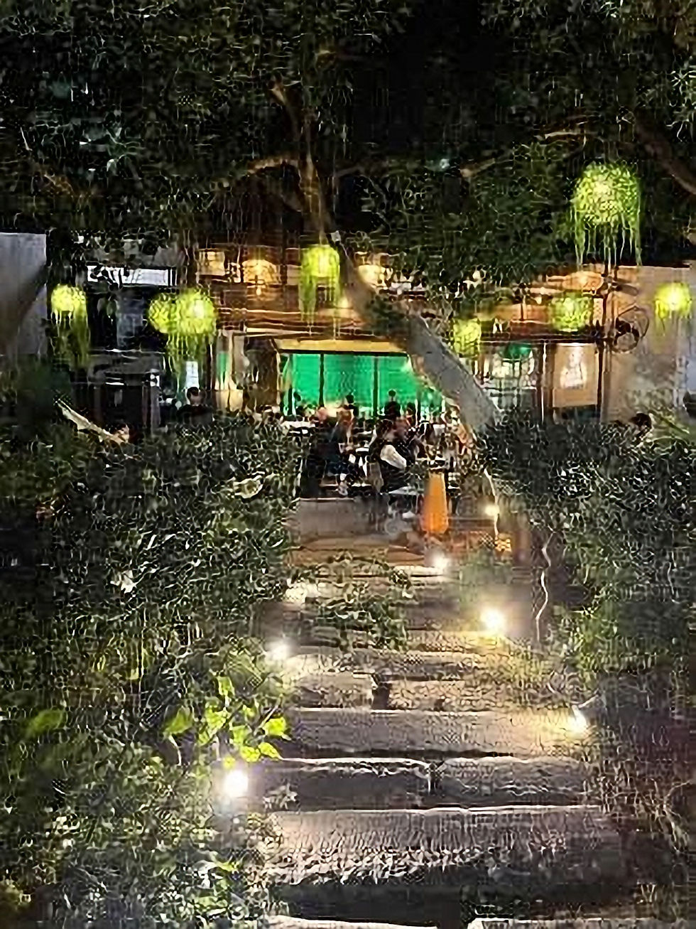 Enchanting evening at Feedea Urban Gastronomy, where incredible culinary delights meet expertly crafted drinks in a magical garden setting.