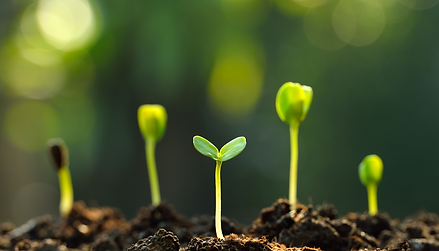 Untitled design (7).png