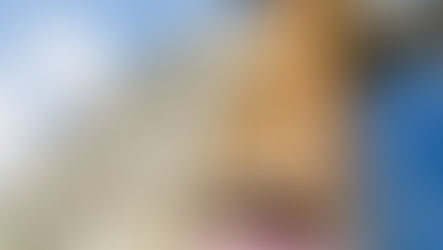 ¿Cuánto cuesta rehabilitar una fachada?