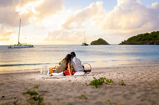 Romantic Picnic for Two