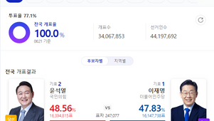 대통령 선거 소회