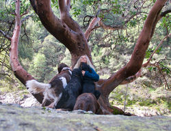 Catriona with Dogs at Tree