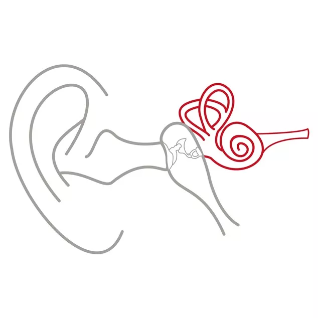 xear_anatomy_inner_ear.jpg,qh=634,ala=en,aw=634,arev=DE80,ahash=B557D0CE7D73A24A5C6ECC1B4A