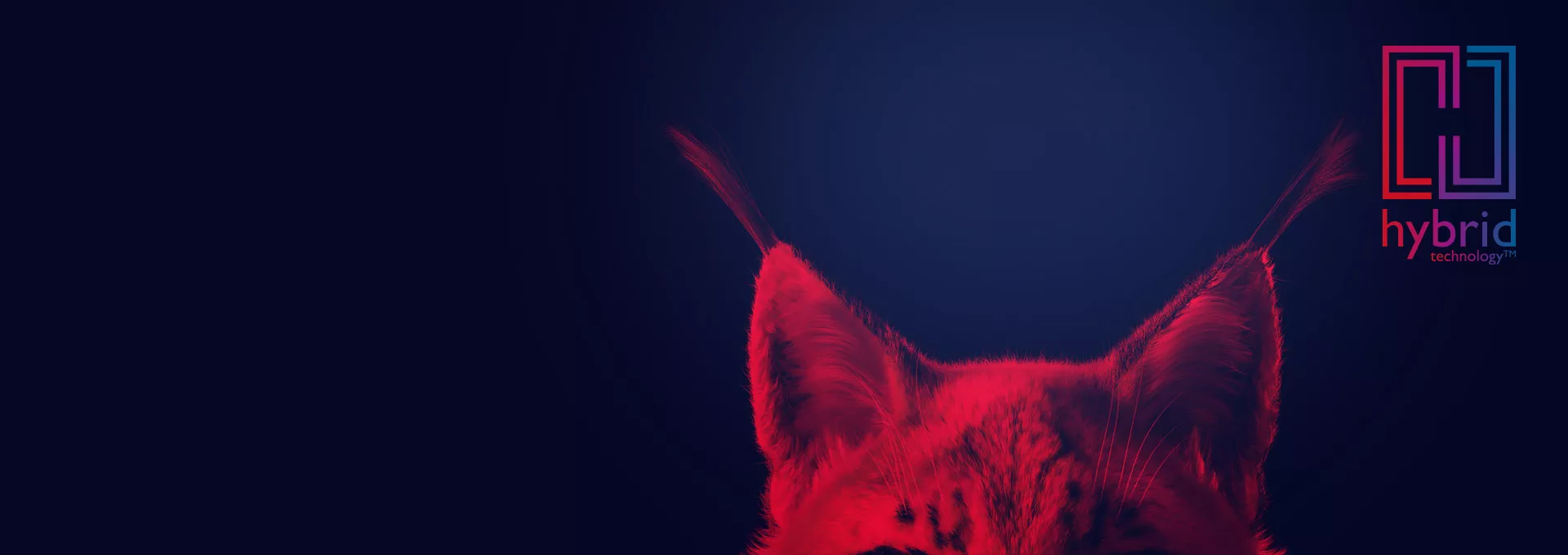 xbf_ah_xt_key_lynx_rgb_1920x680.jpg,qh=680,ala=es-ES,aw=1920,arev=D00D,ahash=FAFD9833DF5B6