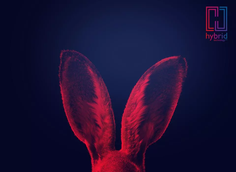 xbf_ah_xt_key_hare_960x700.jpg,qh=700,ala=es-ES,aw=960,arev=1F16,ahash=40829D9DE86539AAFAE
