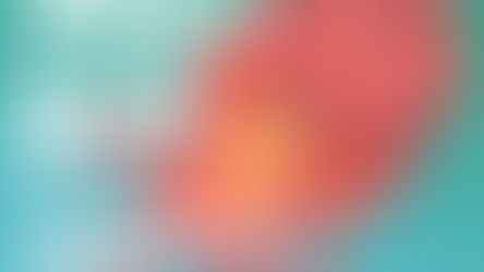 래피젠과 함께하는 심장병어린이돕기 2025 희망농구올스타 