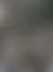 Best Neighbourhoods in Toronto for Airbnb: Your Guide to Success